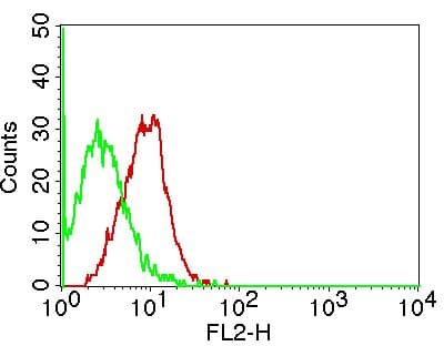 IL21 Antibody