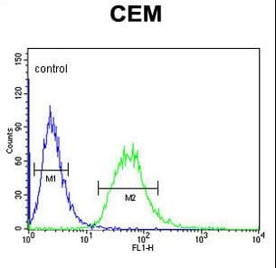 CA6 / Carbonic Anhydrase 6 Antibody (aa279-308)