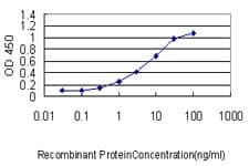 CALM2 / Calmodulin 2 Antibody (clone 3F4-G5)