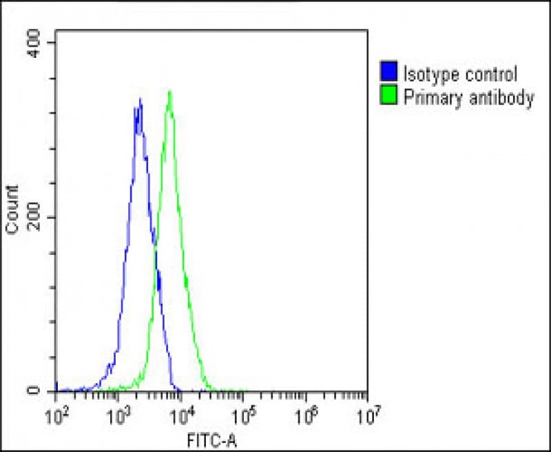 Polyclonal Rabbit anti-Human PKN1 Antibody (C-Terminus, IHC, IF, WB)