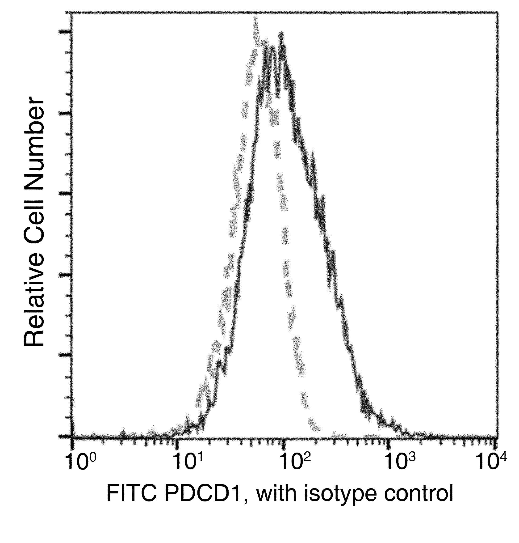 PDCD1 / CD279 / PD-1 Antibody (clone 35, FITC)