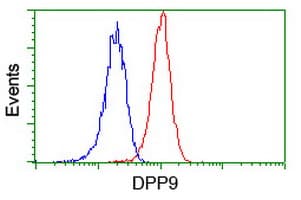 DPP9 Antibody (clone 2.00E+03, Carrier-free)