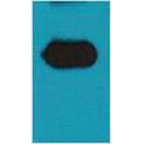 mOrange Antibody