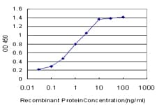 IHC-plus™ YAP / YAP1 Antibody (clone 2H1)