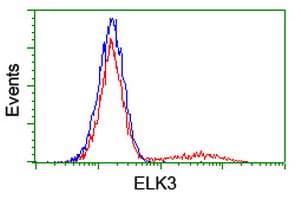ELK3 / NET Antibody (clone OTI2C10, Carrier-free)