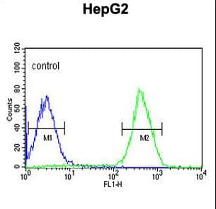 PFAS Antibody (aa184-213)