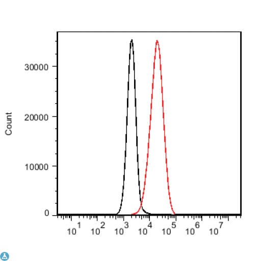CD19 Antibody