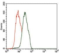 C17orf53 Antibody (Amino Acid: 282-527, clone 7A3A9)