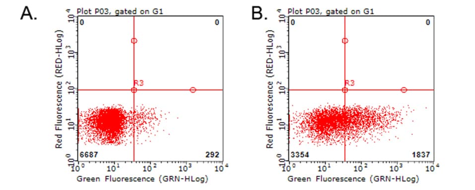 Monoclonal Mouse anti-Human TNFRSF9 / 4-1BB / CD137 Antibody (clone OTI7C3)