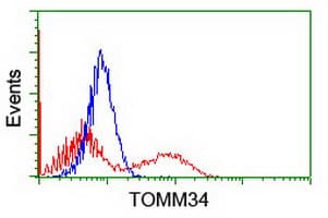 TOMM34 Antibody (clone OTI2F10)