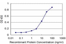 Monoclonal Mouse anti-Human NKX3-1 Antibody (clone 3H6, WB)