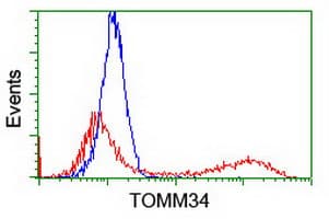 Monoclonal Mouse anti-Human TOMM34 Antibody (clone OTI5E12, Carrier-free, IF, WB)