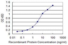ZMYND10 Antibody (clone 3D11)