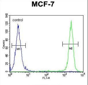 Polyclonal Rabbit anti-Human SEL1L Antibody (aa156-182, IHC, WB)