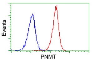 PNMT Antibody (clone OTI2A2, Carrier-free)