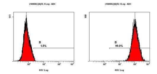 BIRC5 / Survivin Antibody (clone 60.11)