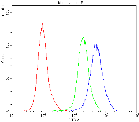 BCL2L2 / Bcl-w Antibody (C-Terminus)
