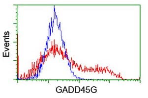 CR6 / GADD45G Antibody (clone OTI1G2)