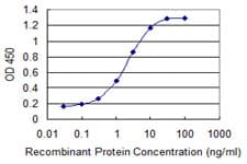 SKIL / SNO / SnoN Antibody (clone 1C12)