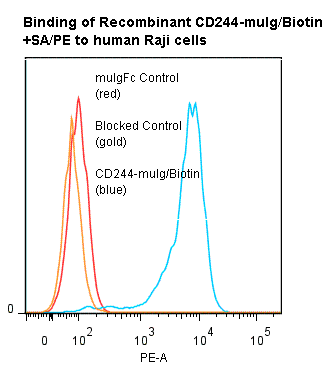 Human CD244 Protein (Fusion)