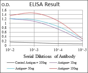 FGF4 Antibody (aa62-123, clone 3A12G9)