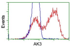 AK3 / Adenylate Kinase 3 Antibody (clone OTI4A2)