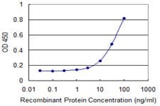 PathPlus™ Peripherin Antibody (aa374-471, clone 3B3)