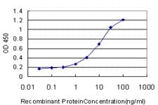 DSC3 / Desmocollin 3 Antibody (clone 4D2)