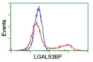 Monoclonal Mouse anti-Human MAC-2-BP / LGALS3BP Antibody (clone OTI6B7, IHC, WB)