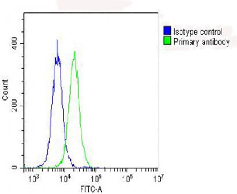RPS10 / Ribosomal Protein S10 Antibody (C-Terminus)