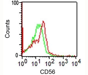 NCAM / CD56 Antibody (clone 123C3.D5, Azide-free)