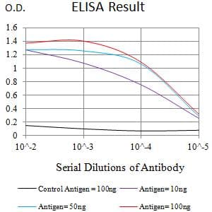 CD72 Antibody (clone 2F3B8)