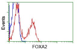 FOXA2 Antibody (clone OTI3C10)