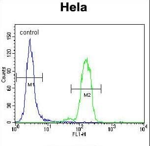 BAD Antibody (aa92-127)