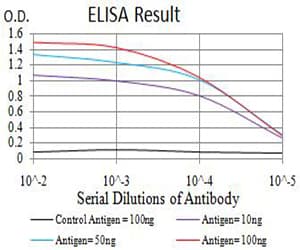 Monoclonal Mouse anti-Human BAFF / TNFSF13B Antibody (clone 6C3A2, IHC, WB)