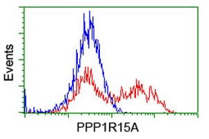 Monoclonal Mouse anti-Human PPP1R15A / GADD34 Antibody (clone OTI4F1, IHC, IF, WB)