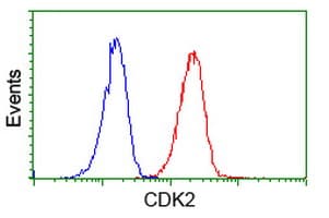 CDK2 Antibody (clone OTI4B4)