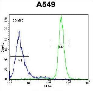 WFDC12 Antibody (aa66-94)