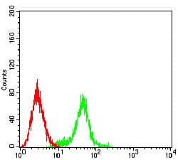 IL9R / CD129 Antibody (clone 1C2A6)