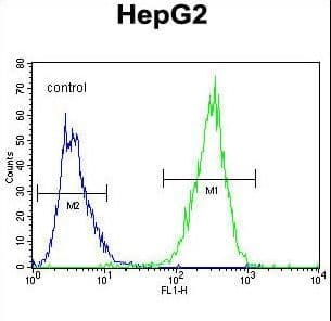PPARD / PPAR Delta Antibody (aa367-394)