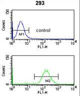 Polyclonal Rabbit anti-Human SMNDC1 Antibody (aa11-41, WB)