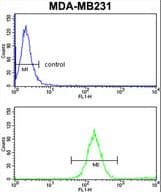 SKIV2L2 Antibody (aa237-263)