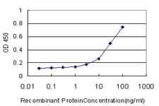 IHC-plus™ CD177 Antibody (clone 4C4)