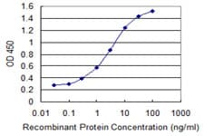 IRS Antibody (clone 3D3)
