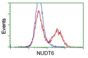 NUDT6 Antibody (clone OTI10A9)