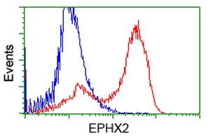 EPHX2 / Epoxide Hydrolase 2 Antibody (clone OTI3F6)
