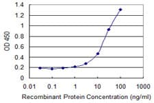 Monoclonal Mouse anti-Human GNG5 Antibody (clone 3B8, WB)