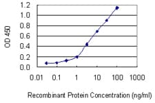 Monoclonal Mouse anti-Human ATP6AP1 Antibody (clone 3A2, WB)