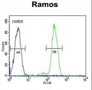 Polyclonal Rabbit anti-Human DCP1B Antibody (aa261-290, WB)