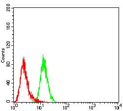 CCR5 Antibody (clone 6H3D5)